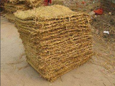 寧夏麻豆91视频网站