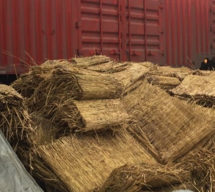 寧夏91视频WWW下载