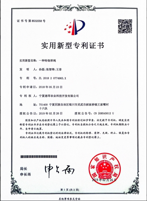 寧夏91视频APP免费下载子