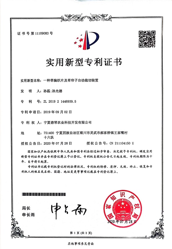 寧夏91视频WWW下载子