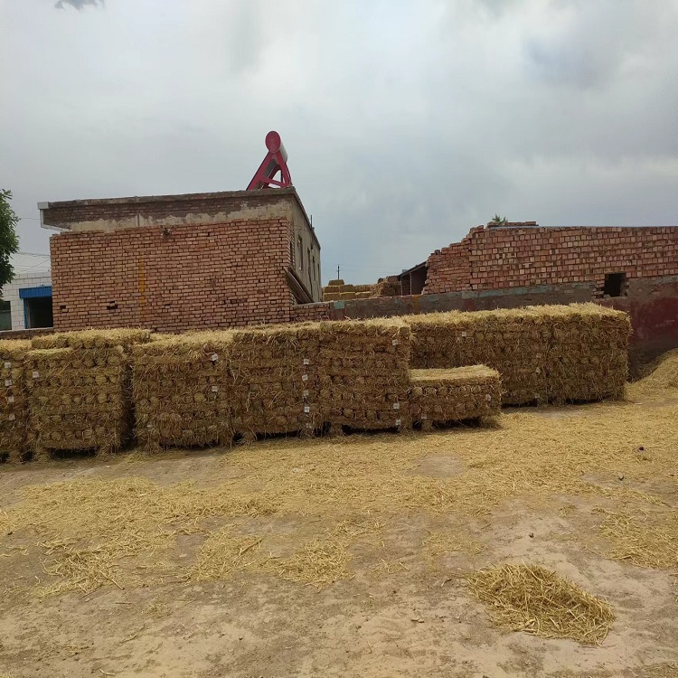 寧夏91视频WWW下载子