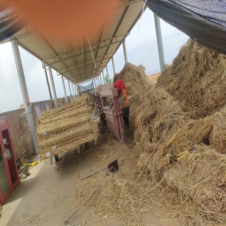 寧夏91视频WWW下载