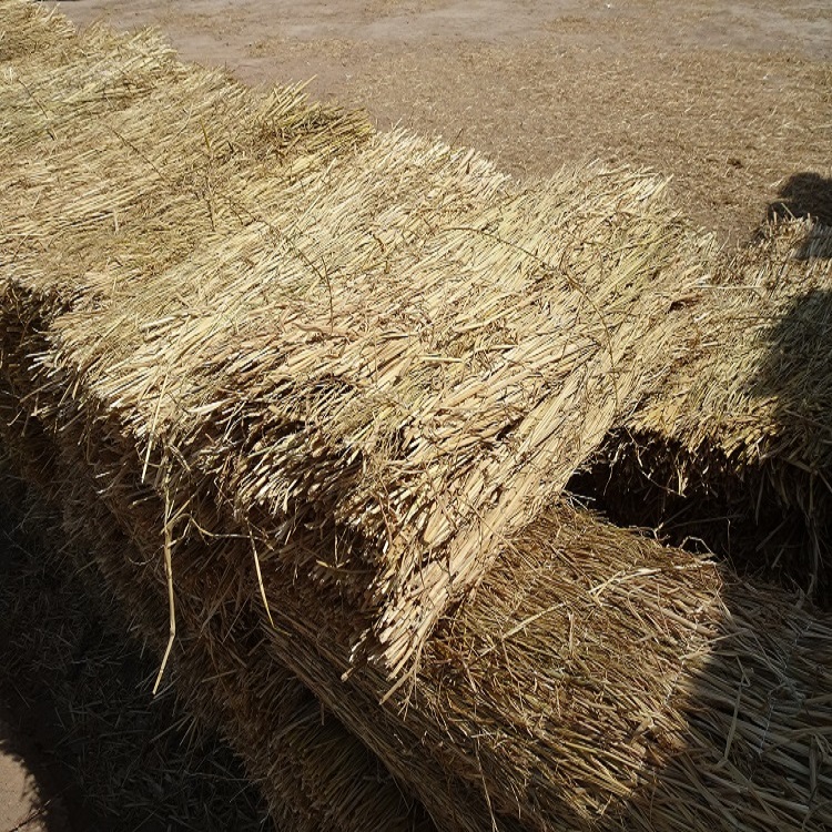 寧夏91视频WWW下载廠家批發